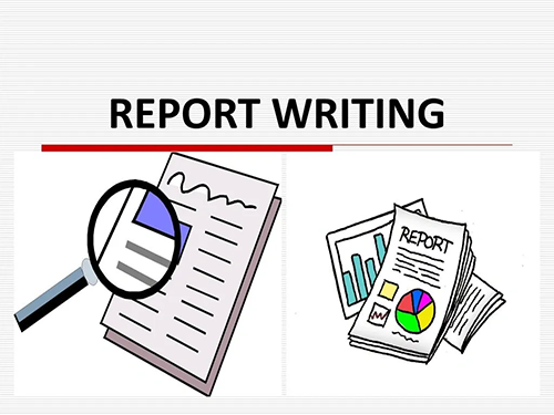 Report writing support